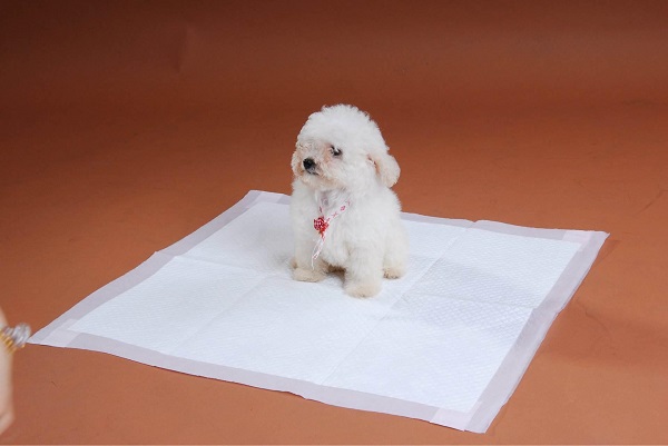Characteristics of Pet Urine Pad